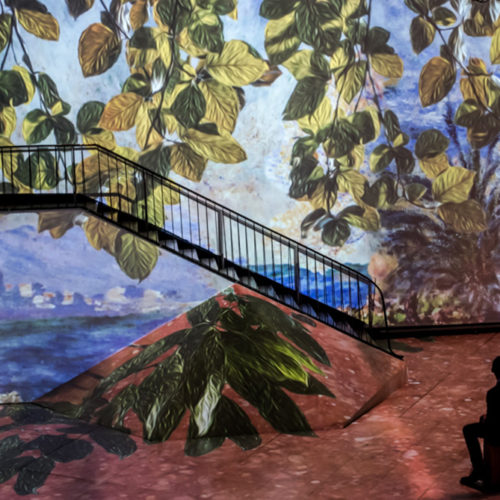 Monet : The Immersive Experience provides a unique immersion in art