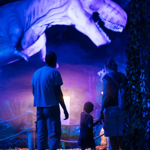 Dinos Alive! : Immerse yourself in a journey to the Jurassic