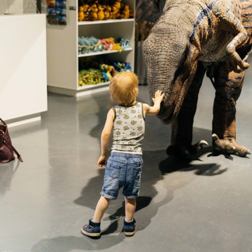 Dinosalive immersive exhibition interaction